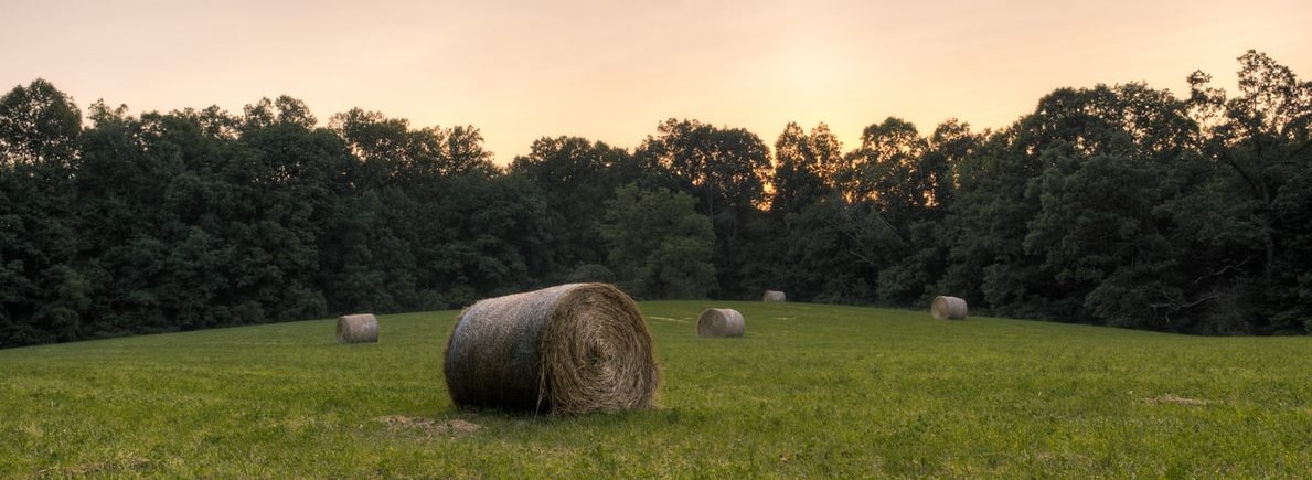 Round hay bales in a Kentucky field with a sunset in the background